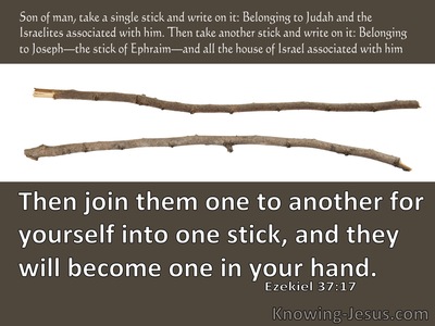 Ezekiel 37:17 Then Join Them For Yourself One To Another Into One Stick (brown)